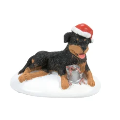 Best Sale Department 56 A Perfect Gift For Snots