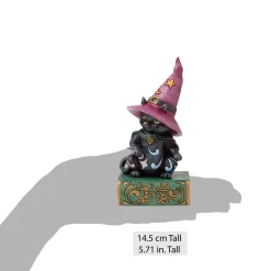 Fashion Enesco Gift Black Cat Sitting on Book Pint