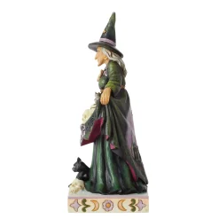 Hot Enesco Gift Scary Witch Skulls Skirt Fig