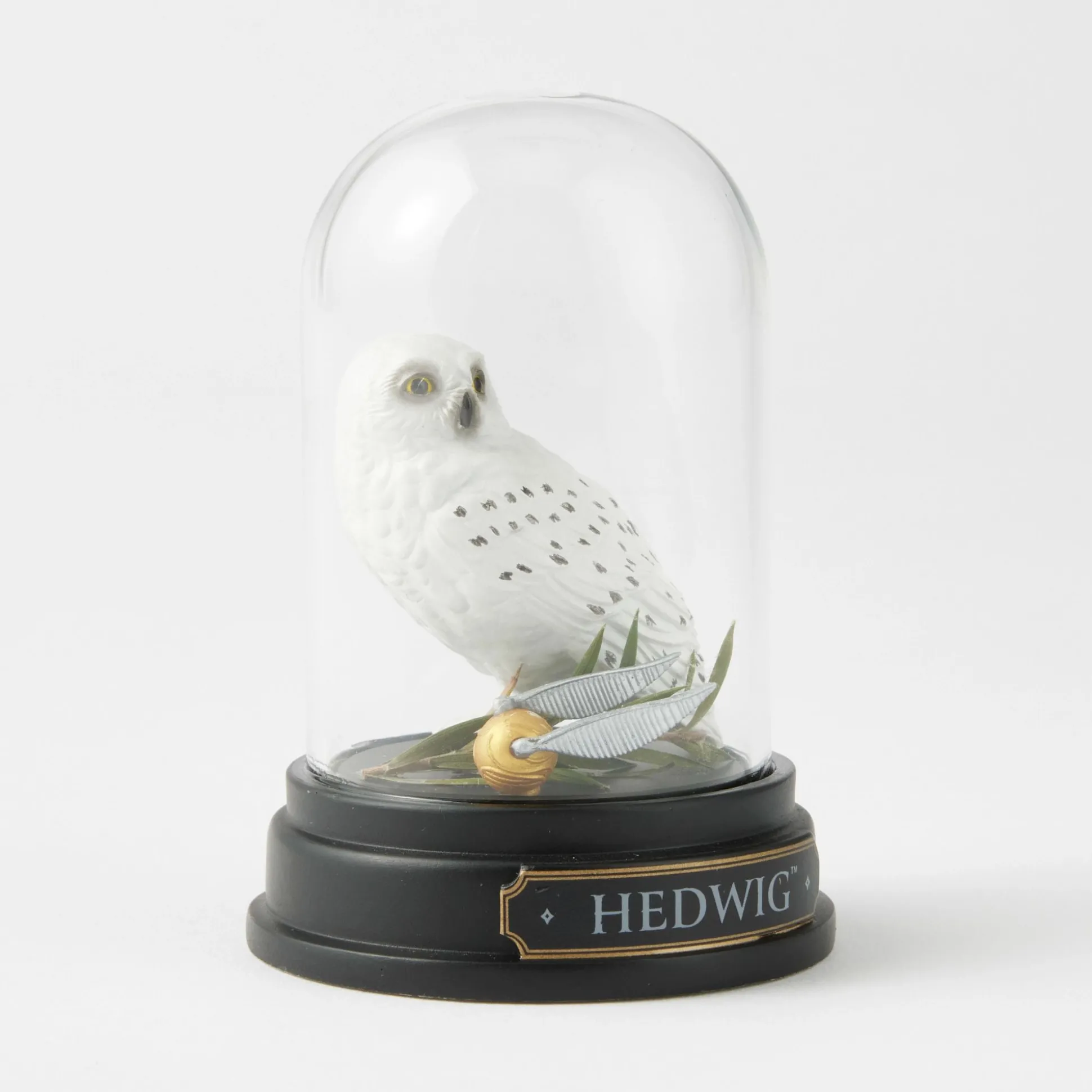Best Enesco Gift WZDWLD Hedwig Curiosity Cloche