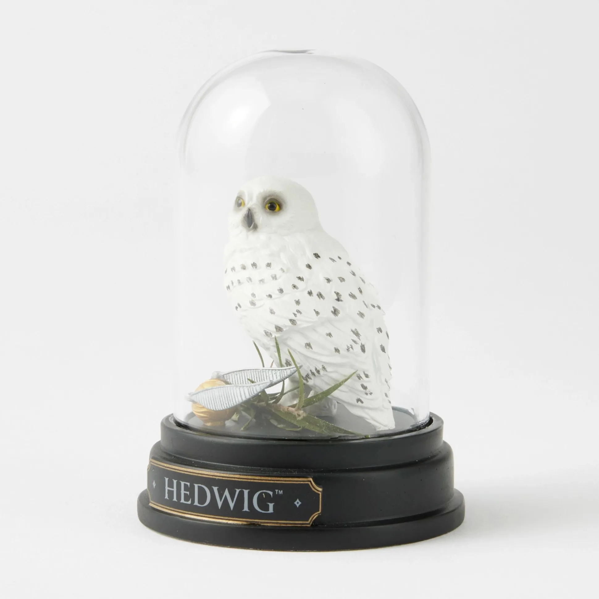 Best Enesco Gift WZDWLD Hedwig Curiosity Cloche
