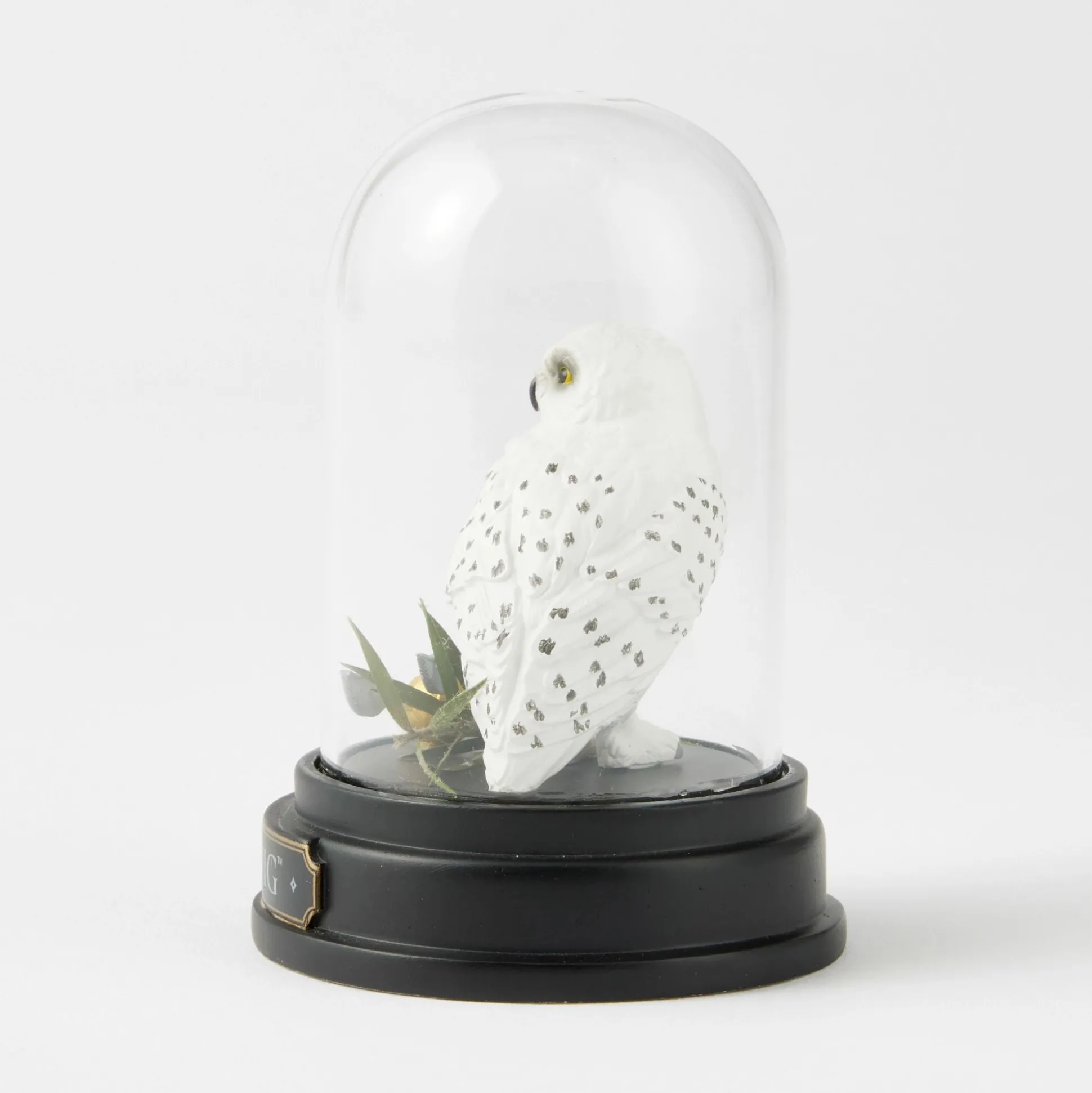 Best Enesco Gift WZDWLD Hedwig Curiosity Cloche
