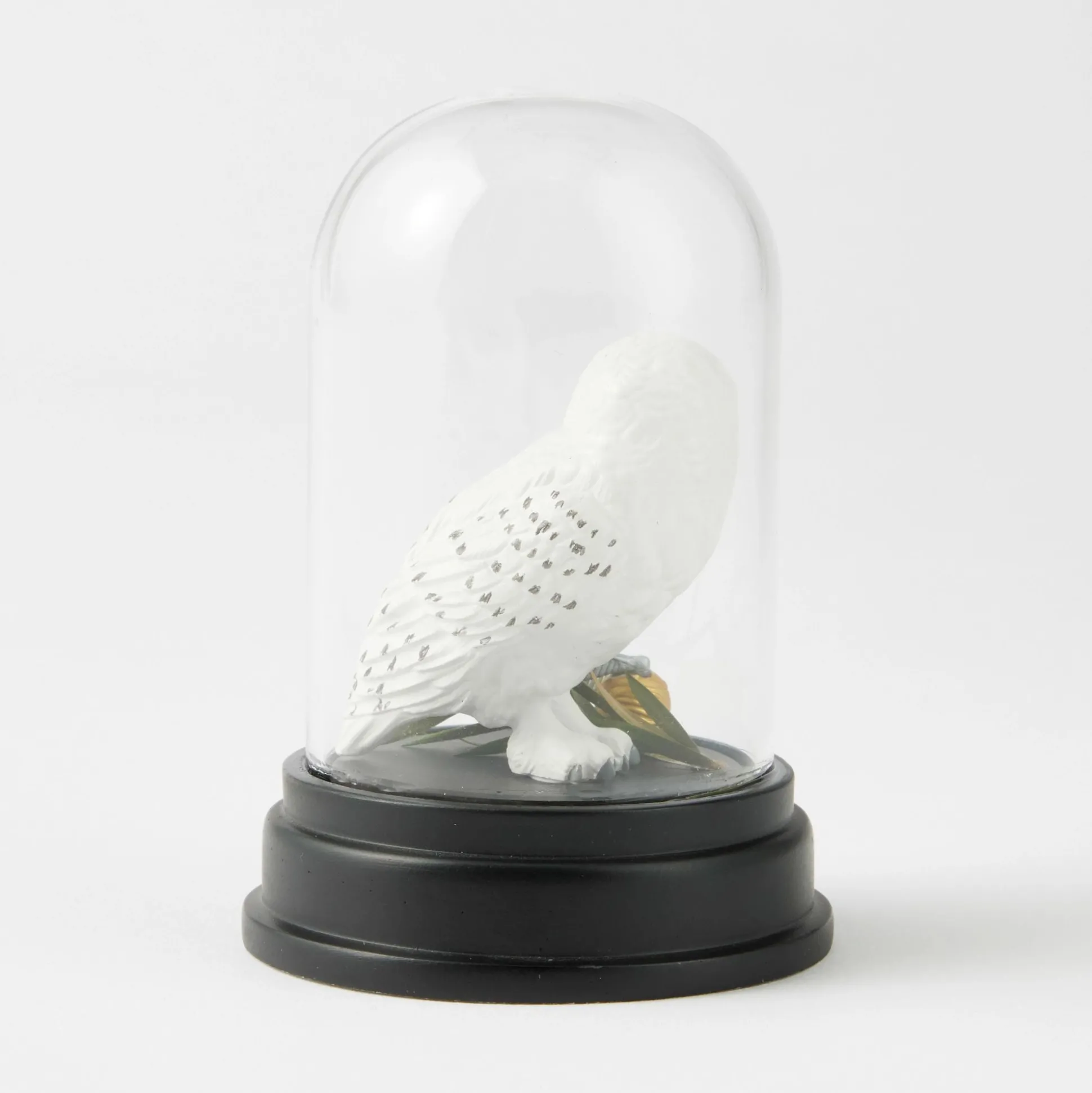 Best Enesco Gift WZDWLD Hedwig Curiosity Cloche